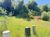 0.34- acre Yellow Finch Way - Photo 3