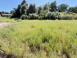 0.34- acre Yellow Finch Way - Photo 5