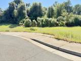 0.34- acre Yellow Finch Way - Photo 6