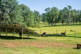 11385 Easy Street - Photo 33