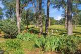 11385 Easy Street - Photo 48