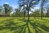 11385 Easy Street - Photo 51