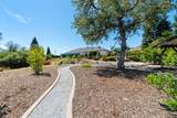 3025 Misty Glen Drive - Photo 81