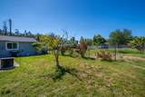 19358 Hill Street - Photo 51