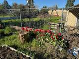 19358 Hill Street - Photo 55