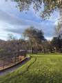 14216 Bear Mountain - Photo 26