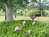 6231 Ridgetop Road - Photo 42