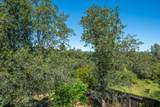 2736 Crystal Tree Drive - Photo 46