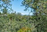 2736 Crystal Tree Drive - Photo 47