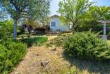 2736 Crystal Tree Drive - Photo 52