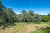 2736 Crystal Tree Drive - Photo 58