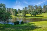 19255 Eighmy Road - Photo 112