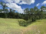 NSA Happy Valley Trail - Photo 4