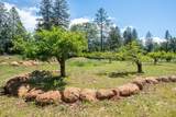 21855 Graham (Elam Ln) Road - Photo 46