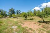 21855 Graham (Elam Ln) Road - Photo 47