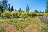21855 Graham (Elam Ln) Road - Photo 49