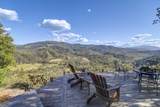 1200 Mountain Springs Road - Photo 1