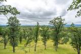 12921 Gas Point Road - Photo 65