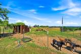 6905 Scotview Lane - Photo 3