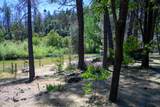 590 Reo Lane - Photo 37
