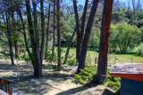 590 Reo Lane - Photo 38