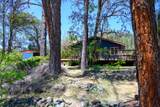 590 Reo Lane - Photo 40