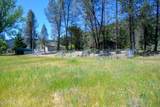 590 Reo Lane - Photo 44