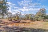 322 acres Kingsland Way - Photo 36