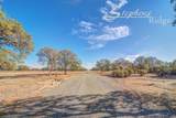 322 acres Kingsland Way - Photo 45