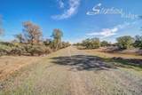 322 acres Kingsland Way - Photo 48