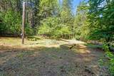 30303 Oak Run To Fern Road - Photo 53