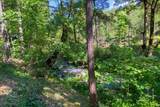 30303 Oak Run To Fern Road - Photo 63