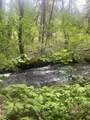 30303 Oak Run To Fern Road - Photo 65