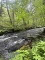 30303 Oak Run To Fern Road - Photo 66