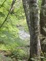 30303 Oak Run To Fern Road - Photo 67