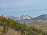 Blue Wolf Ranch - Photo 35