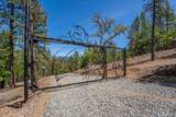 Blue Wolf Ranch - Photo 37
