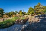 14807 Hilltop Drive - Photo 53