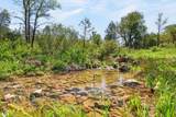 30077 California 299 - Photo 10
