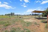 12481 Paskenta Road - Photo 49