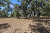 12481 Paskenta Road - Photo 52