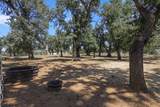 12481 Paskenta Road - Photo 53