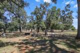 12481 Paskenta Road - Photo 54