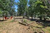 12481 Paskenta Road - Photo 58