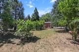 12481 Paskenta Road - Photo 59