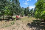 12481 Paskenta Road - Photo 60