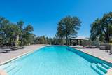 2707 Blue Bell Drive - Photo 84