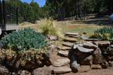 31300 Miller Mountain Road - Photo 27