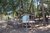 31300 Miller Mountain Road - Photo 37