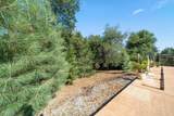 4464 Hillington Court - Photo 53